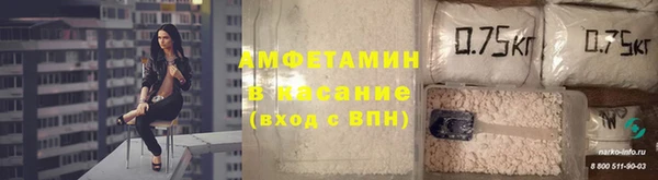 индика Балахна