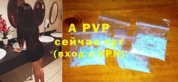 индика Балахна