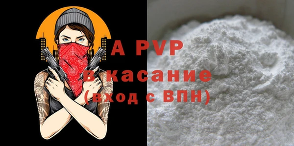 индика Балахна
