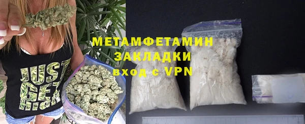 индика Волосово
