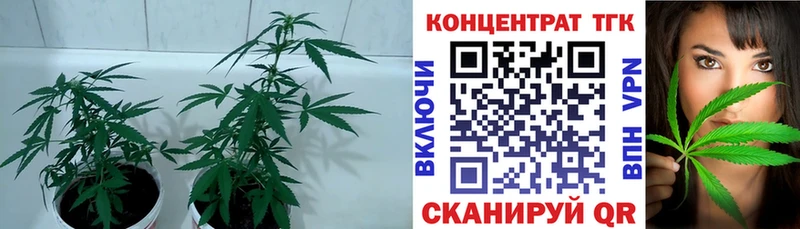 Купить закладки  Артёмовский  Дистиллят ТГК гашишное масло 